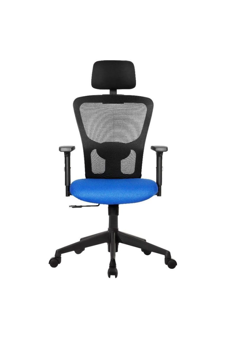 Blue-Seat Mesh Executive Chair with Headrest